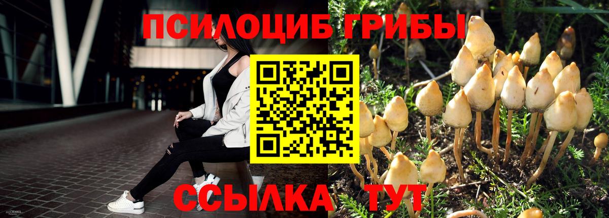Энгельс  Псилоцибиновые грибы Cubensis  Вход с VPN  Галлюциногенные грибы ЛСД 
