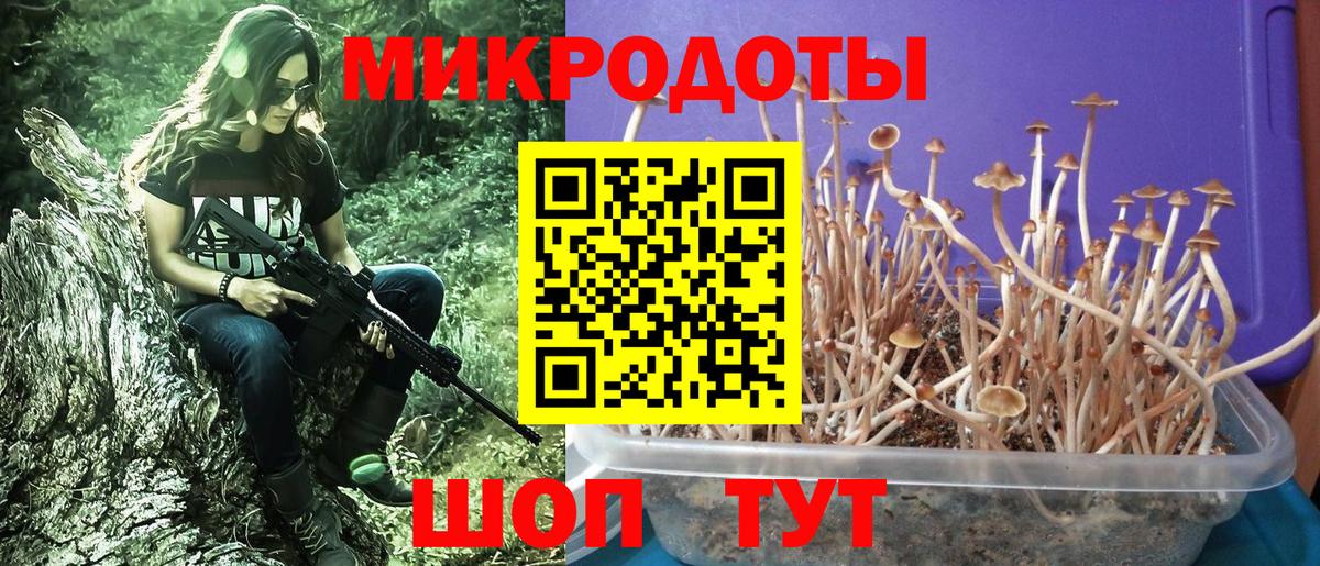 Псилоцибиновые грибы мухоморы Энгельс